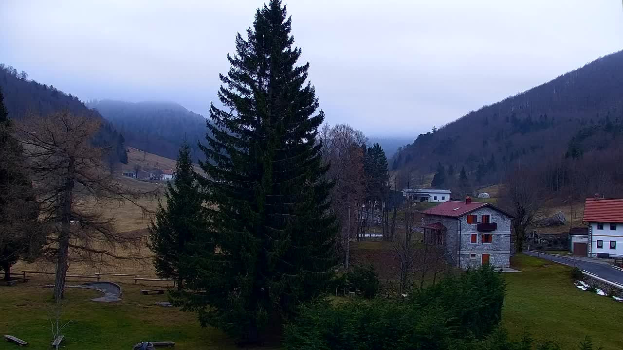 Webcam Lokve – Die Schönheit des Trnovo-Waldes