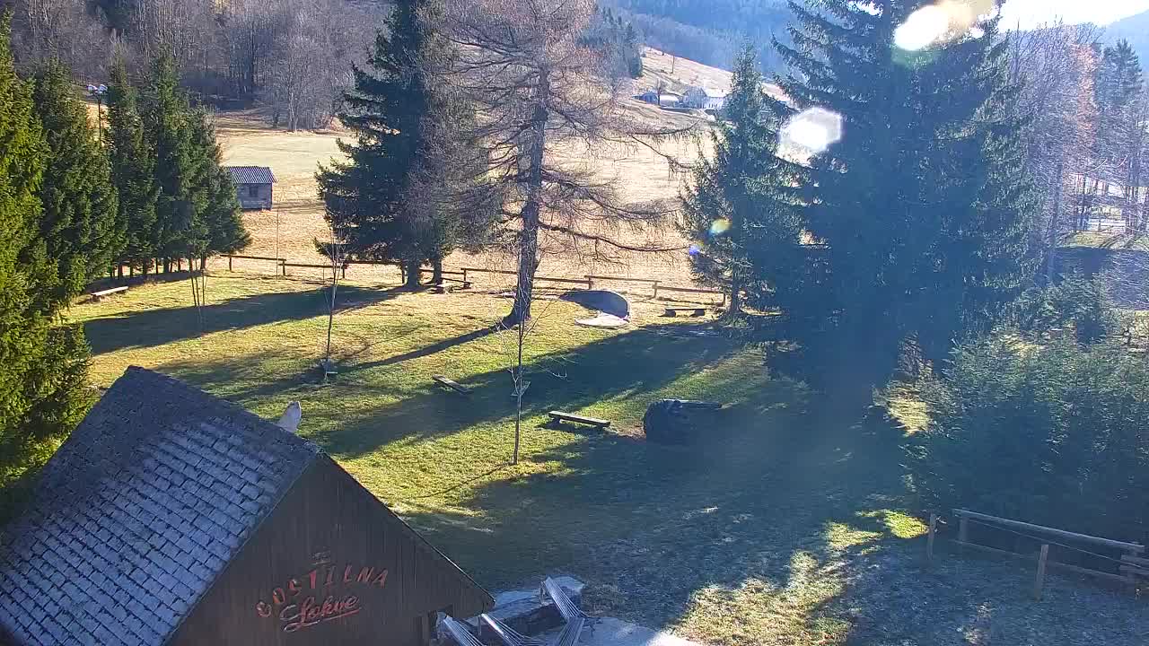 Webcam Lokve – Die Schönheit des Trnovo-Waldes