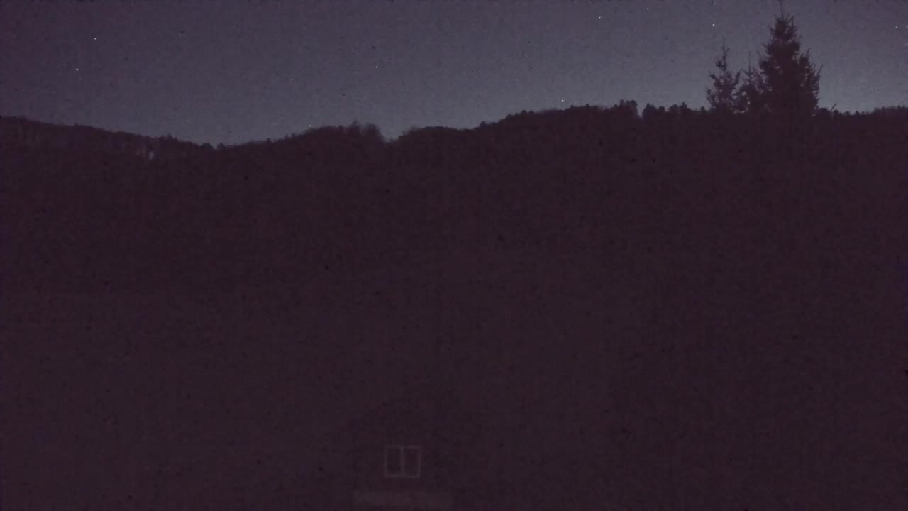 Webcam Loqua / Lokve – La bellezza della selva di Tarnova