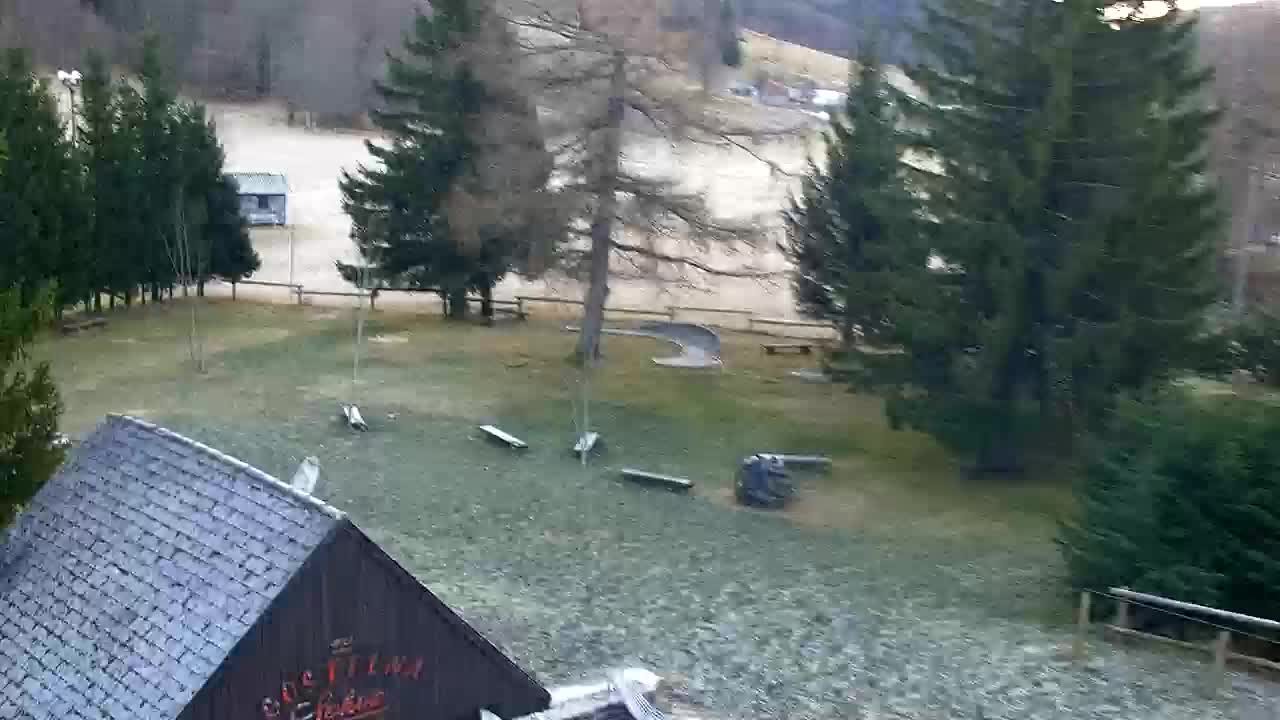 Webcam Loqua / Lokve – La bellezza della selva di Tarnova