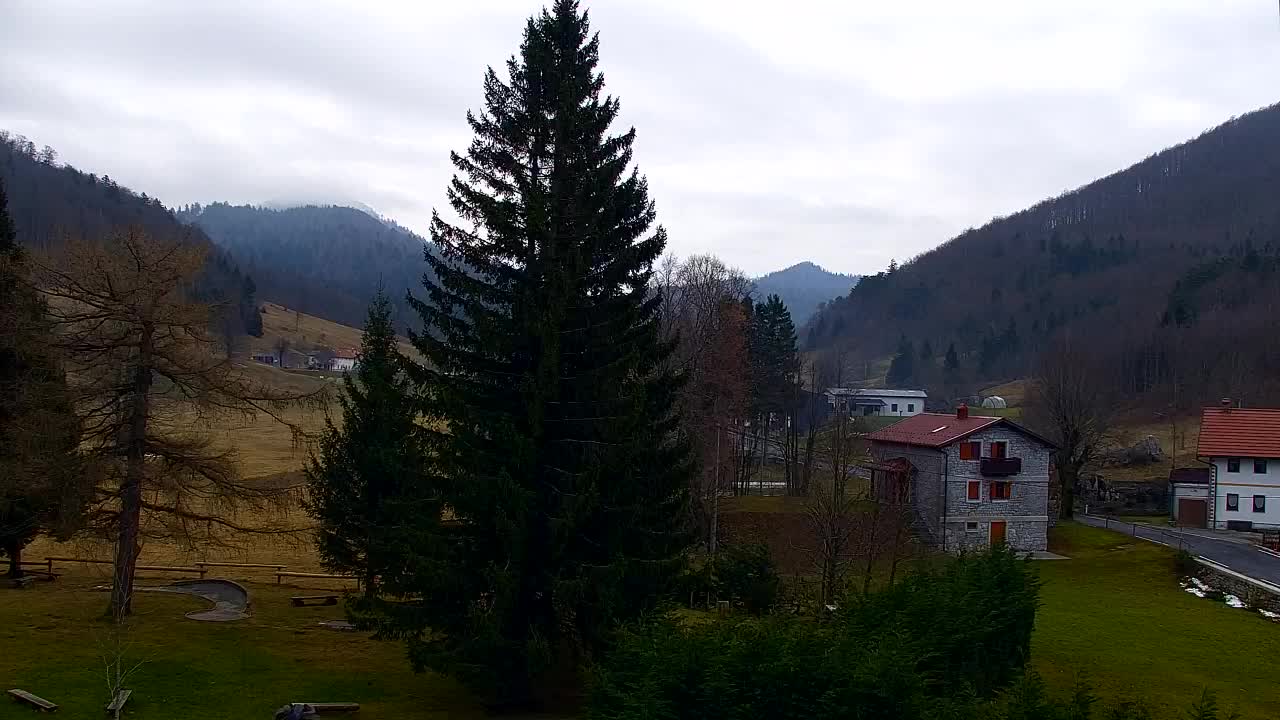 Webcam Lokve – La beauté de la forêt de Trnovo