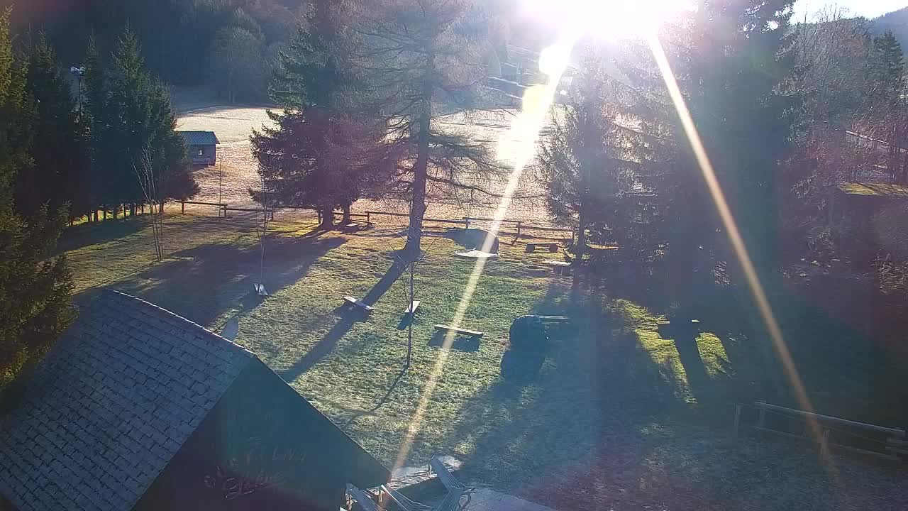 Webcam Loqua / Lokve – La bellezza della selva di Tarnova