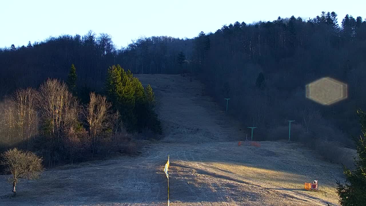 Webcam Loqua / Lokve – La bellezza della selva di Tarnova