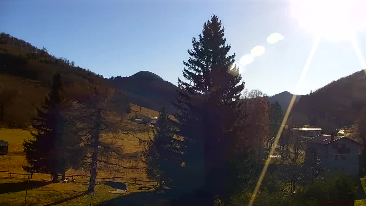 Camera en vivo Lokve – La belleza del bosque de Trnovo