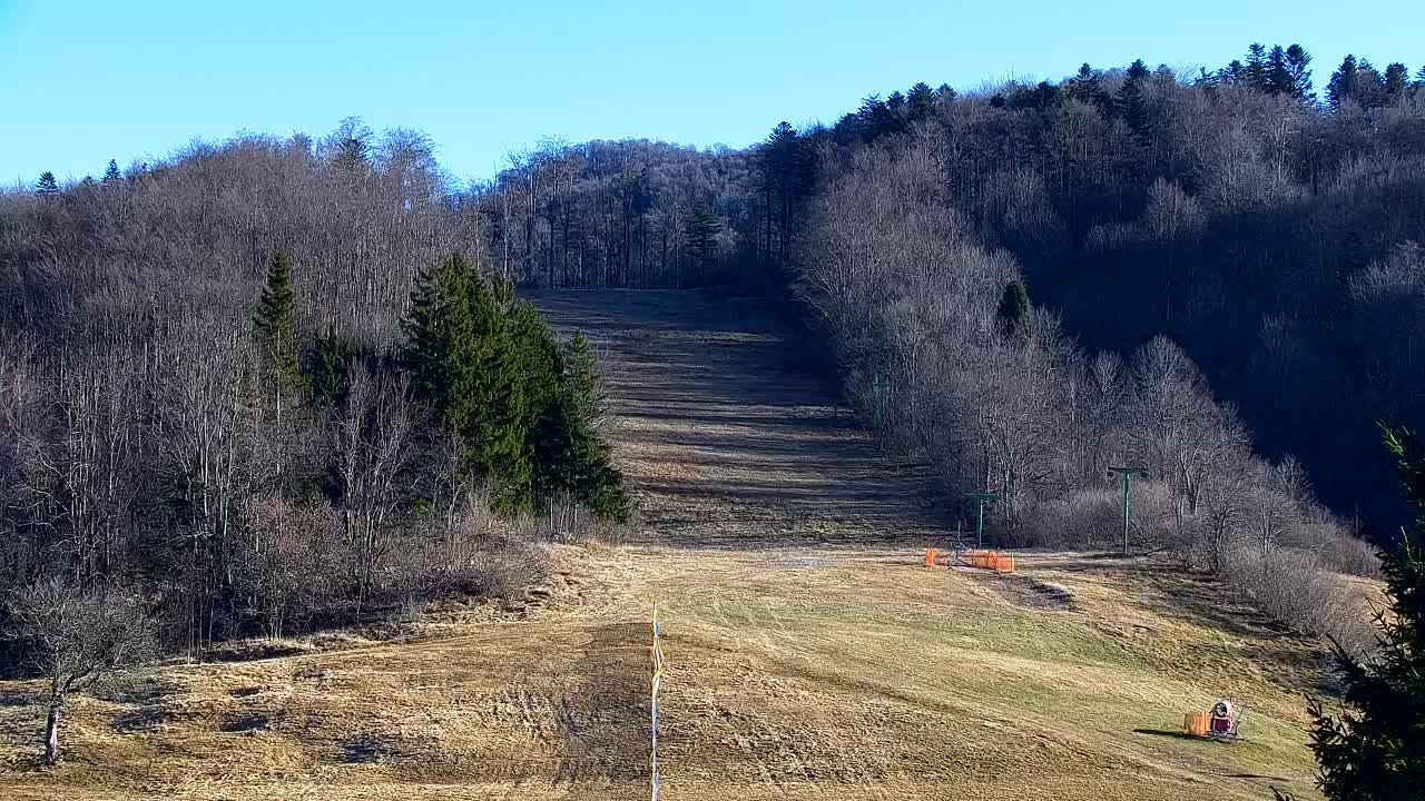 Webcam Lokve – The beauty of the Trnovo forest
