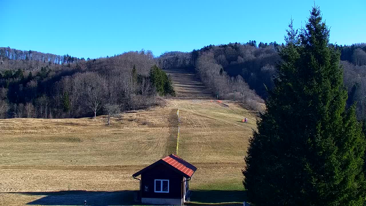 Camera en vivo Lokve – La belleza del bosque de Trnovo