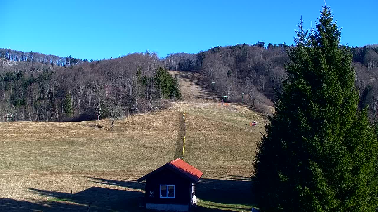 Webcam Lokve – The beauty of the Trnovo forest