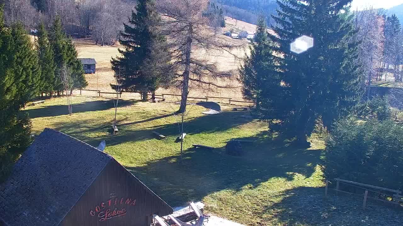 Webcam Lokve – La beauté de la forêt de Trnovo