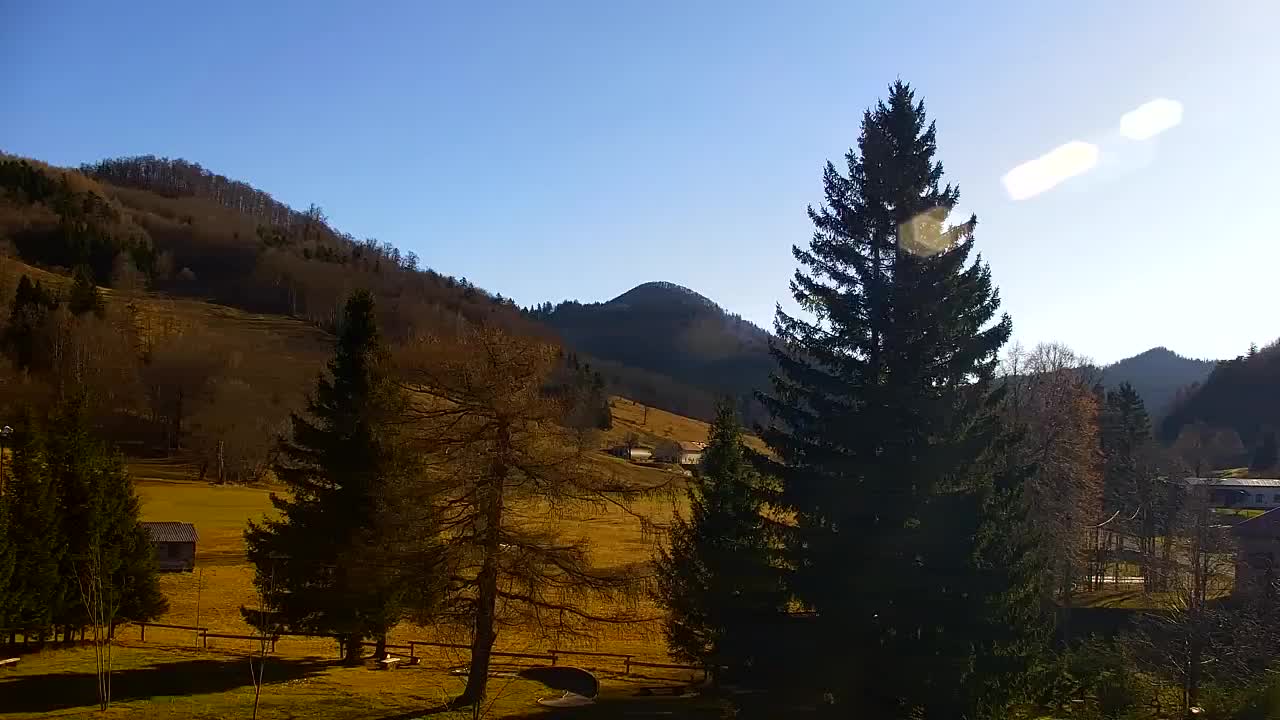 Webcam Lokve – La beauté de la forêt de Trnovo