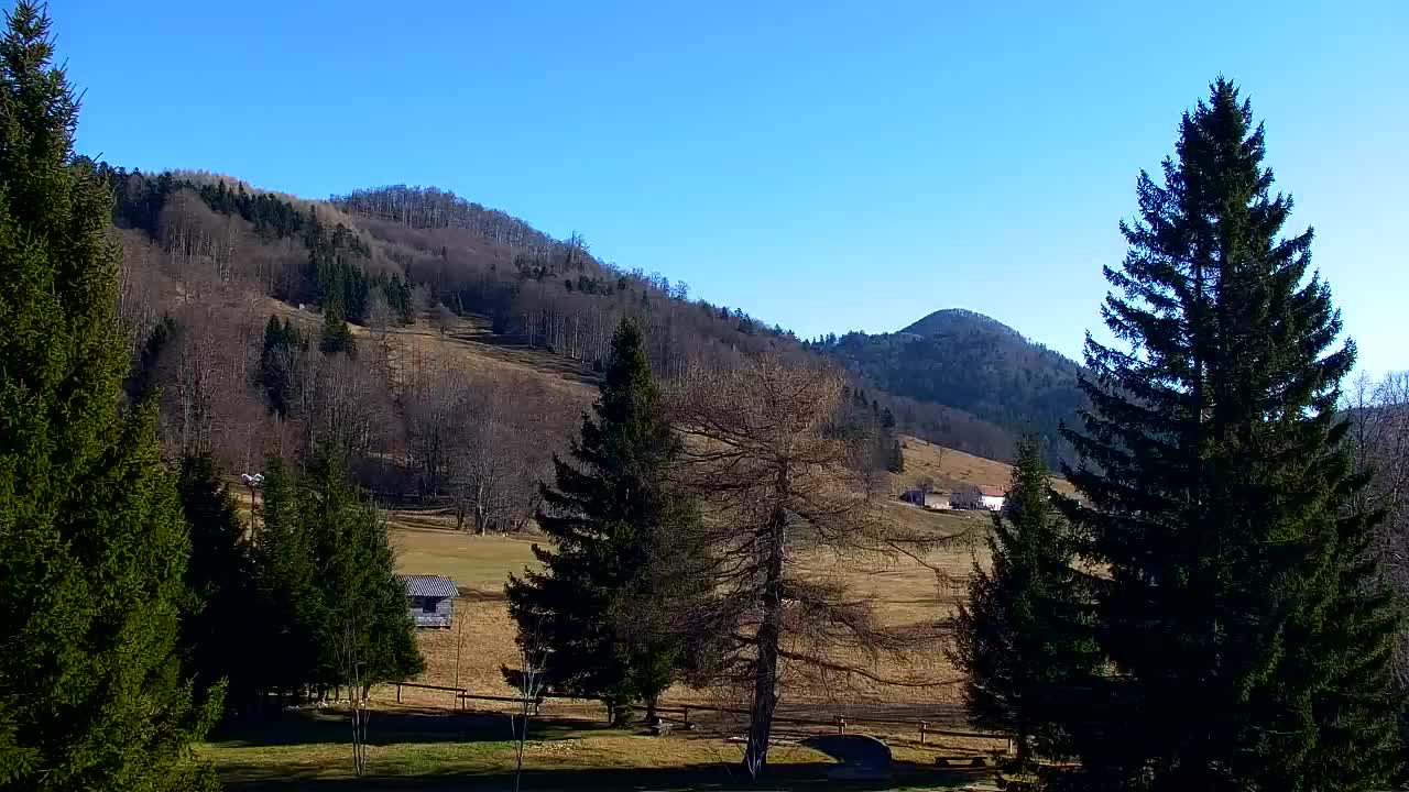 Webcam Loqua / Lokve – La bellezza della selva di Tarnova