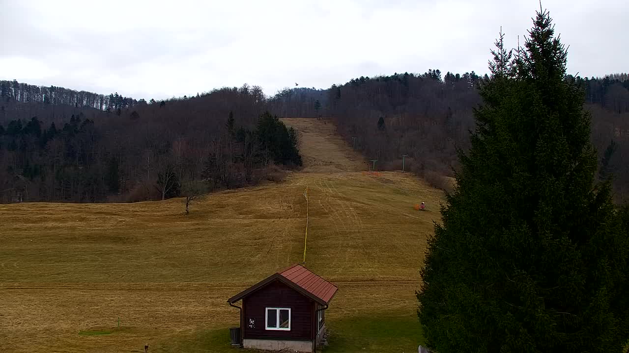 Web kamera Lokve – Ljepota Trnovske šume