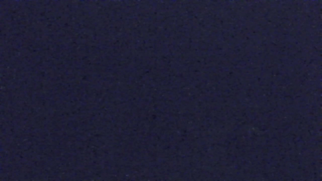 Webcam Lokve – The beauty of the Trnovo forest