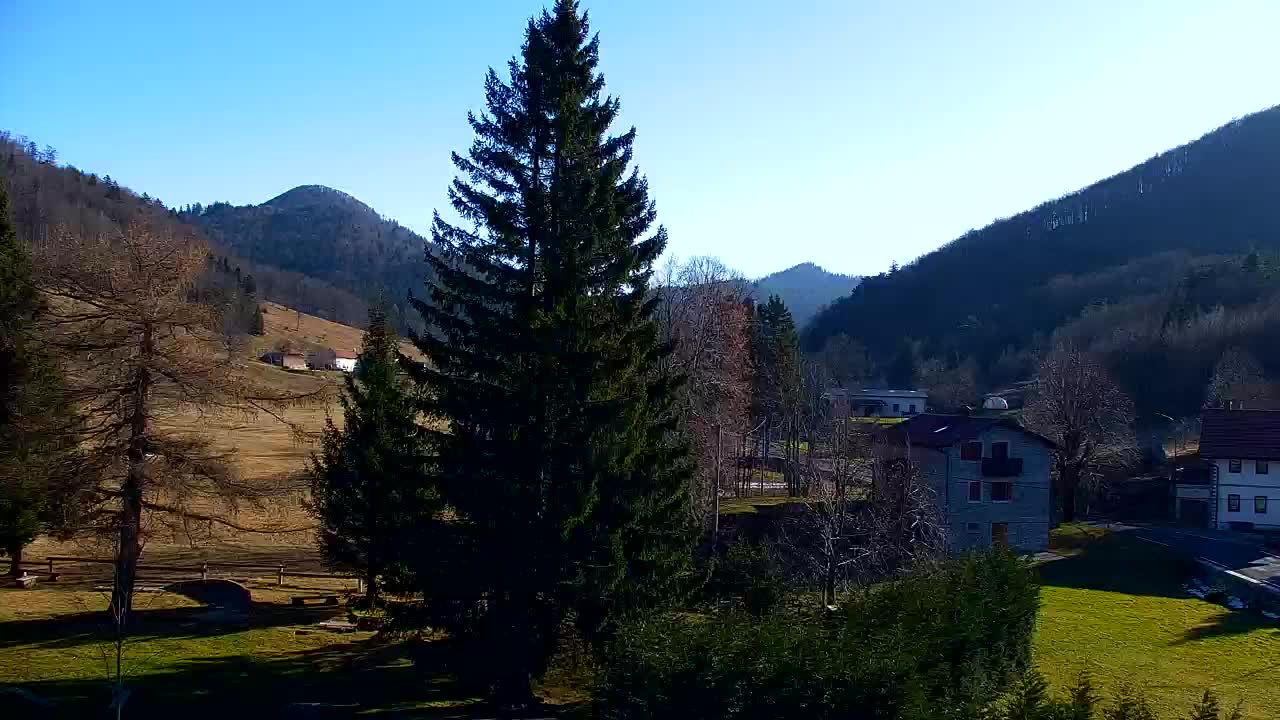 Webcam Lokve – Die Schönheit des Trnovo-Waldes