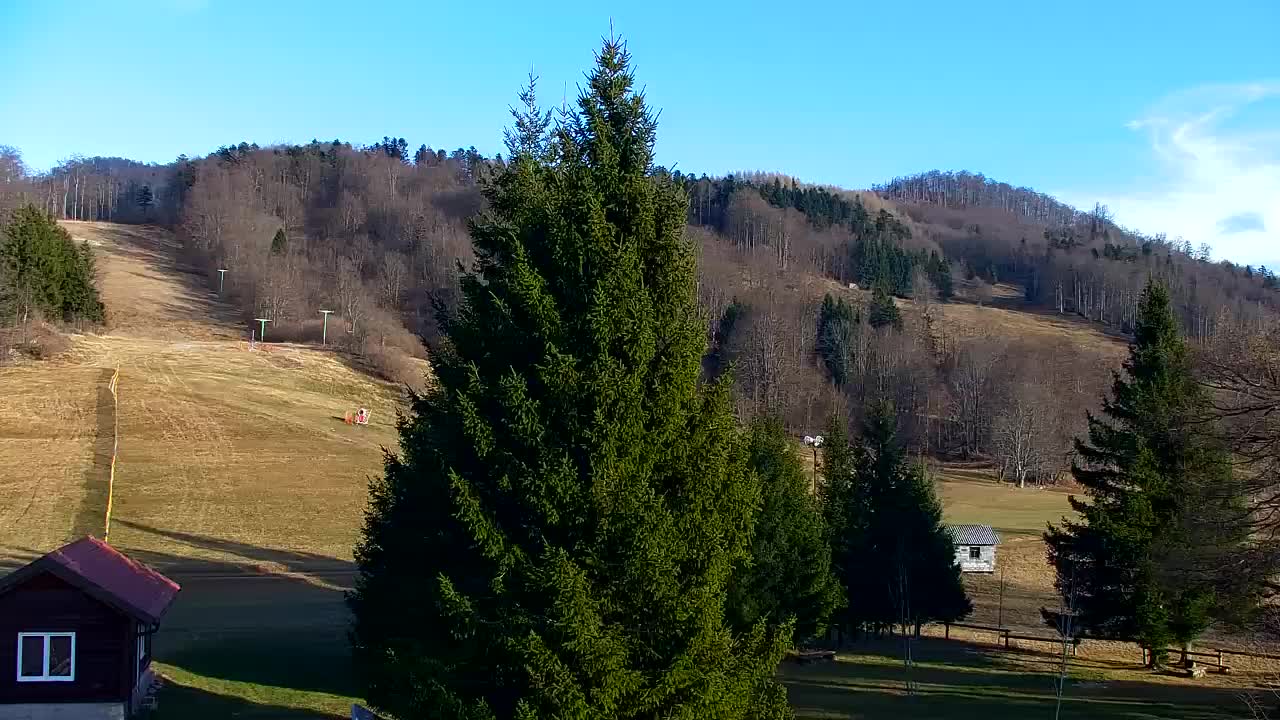 Webcam Lokve – La beauté de la forêt de Trnovo