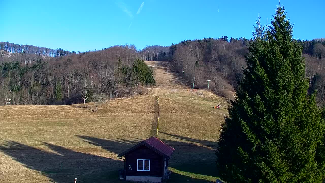 Lokve kamera – Naravne lepote Trnovskega gozda