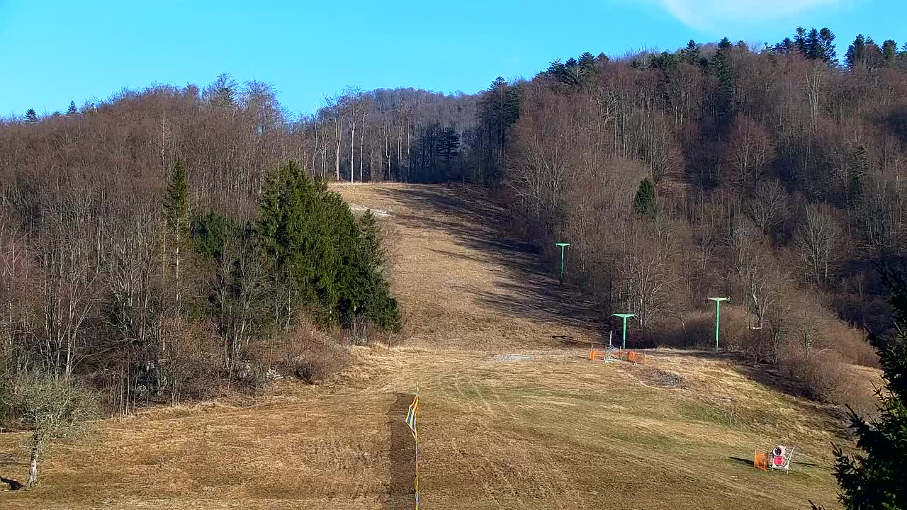 Webcam Lokve – La beauté de la forêt de Trnovo