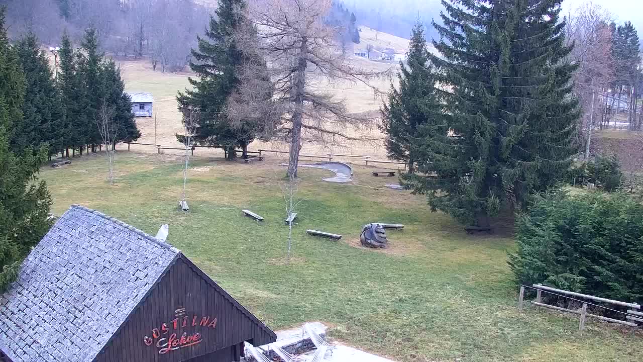 Web kamera Lokve – Ljepota Trnovske šume