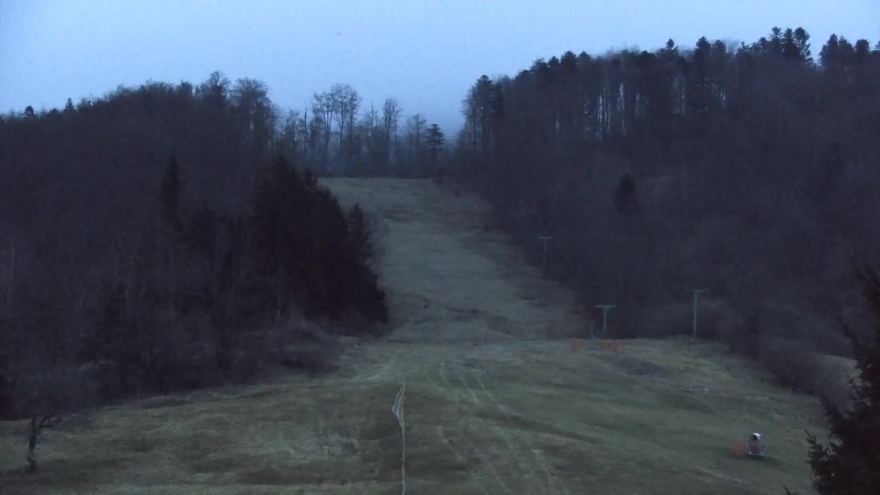 Webcam Lokve – Die Schönheit des Trnovo-Waldes