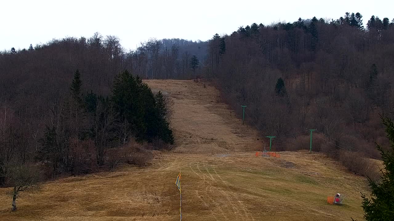 Webcam Lokve – Die Schönheit des Trnovo-Waldes