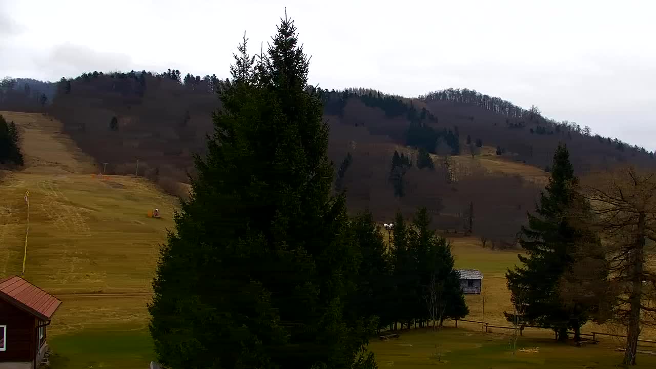 Lokve kamera – Naravne lepote Trnovskega gozda