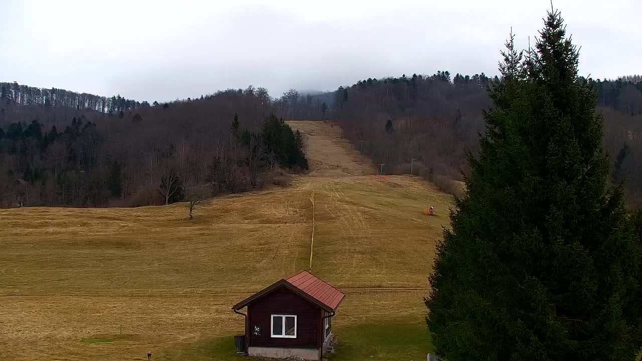 Webcam Lokve – Die Schönheit des Trnovo-Waldes