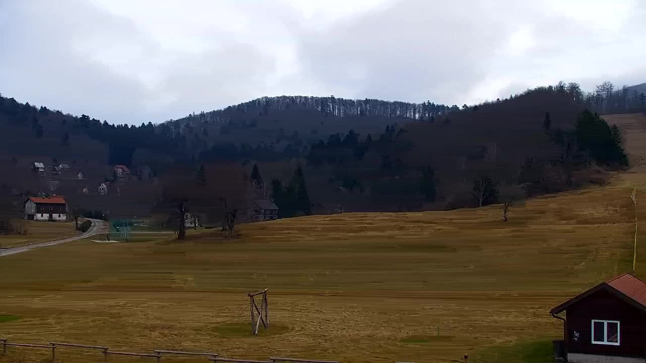 Webcam Loqua / Lokve – La bellezza della selva di Tarnova