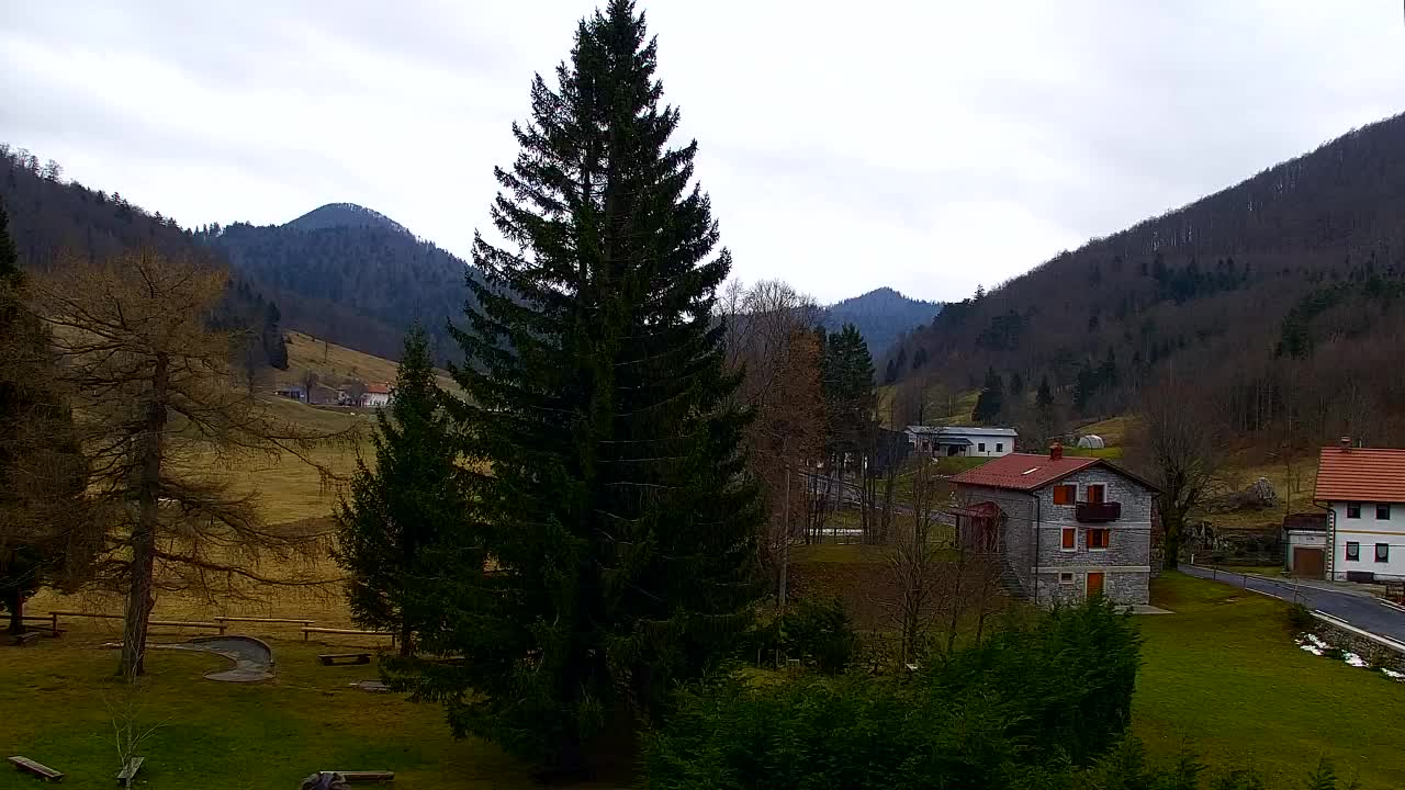 Webcam Lokve – La beauté de la forêt de Trnovo