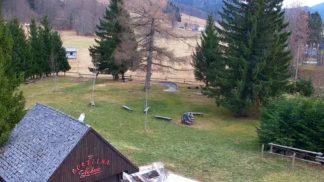 Webcam Lokve – The beauty of the Trnovo forest