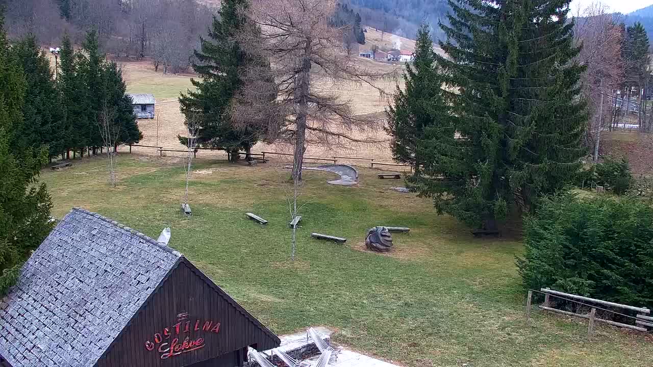 Lokve kamera – Naravne lepote Trnovskega gozda