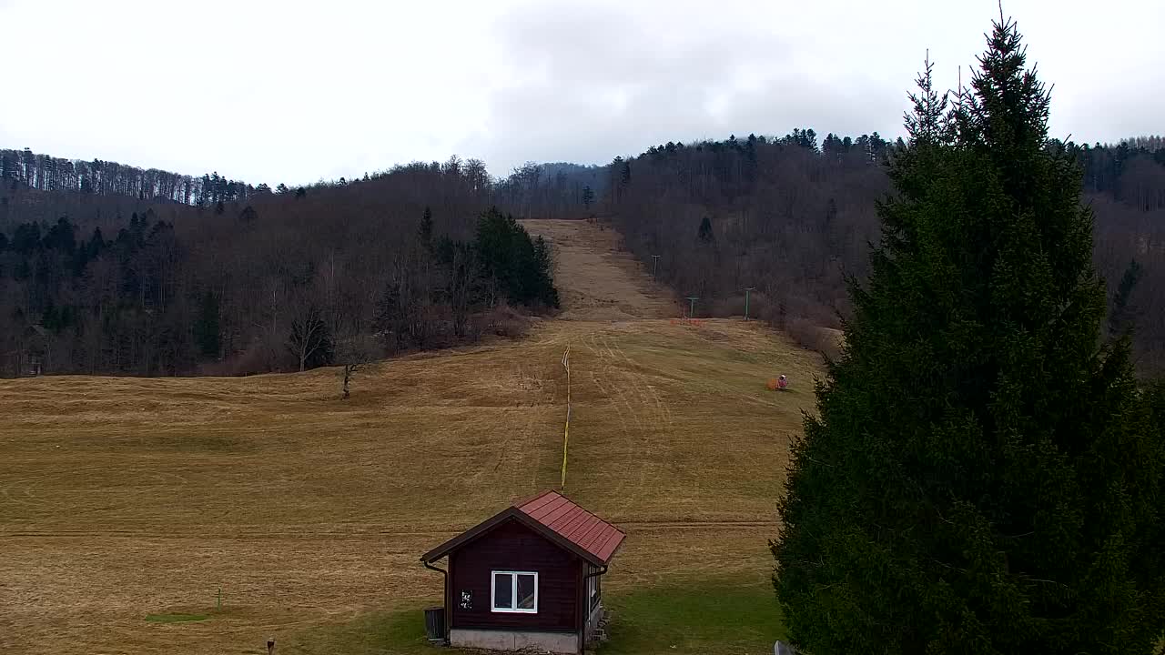 Webcam Lokve – Die Schönheit des Trnovo-Waldes