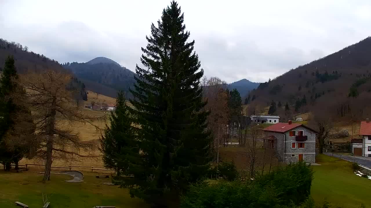 Webcam Loqua / Lokve – La bellezza della selva di Tarnova