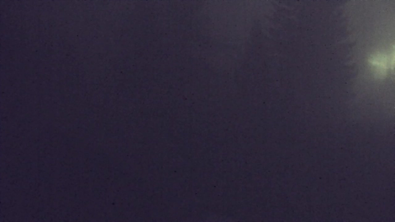 Webcam Loqua / Lokve – La bellezza della selva di Tarnova