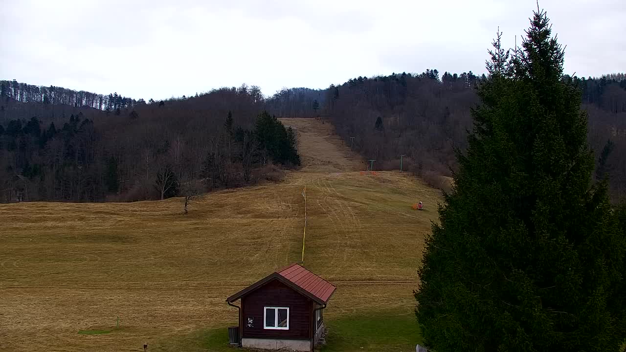 Web kamera Lokve – Ljepota Trnovske šume