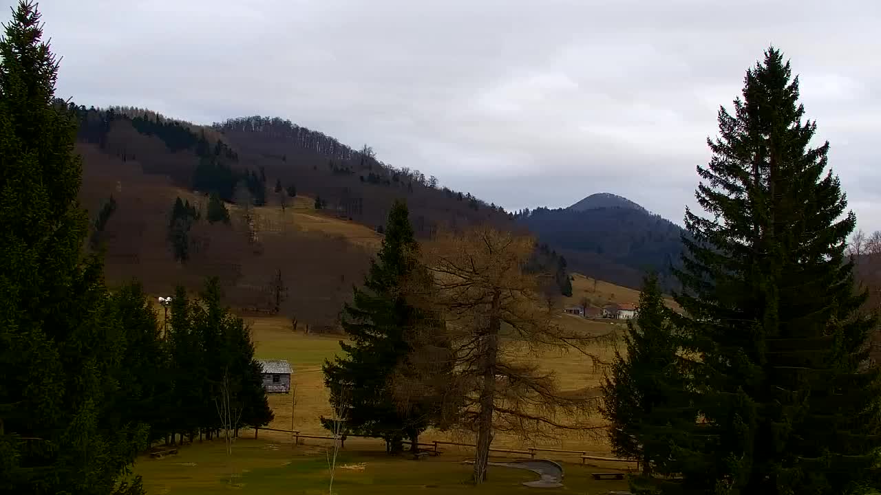 Web kamera Lokve – Ljepota Trnovske šume