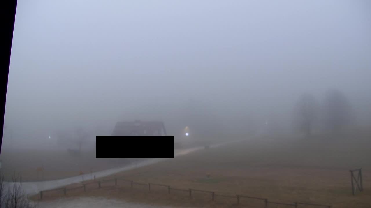 Webcam Lokve – La beauté de la forêt de Trnovo