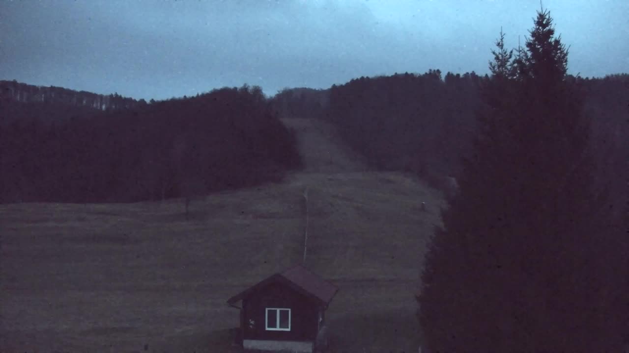 Webcam Lokve – The beauty of the Trnovo forest