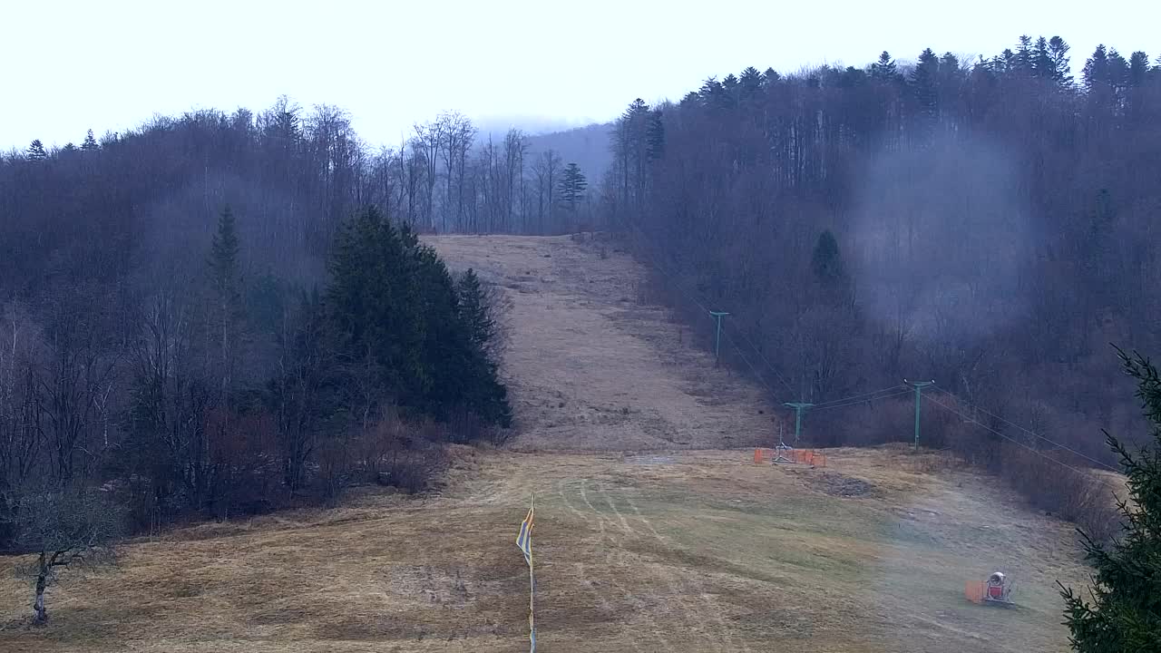 Lokve kamera – Naravne lepote Trnovskega gozda