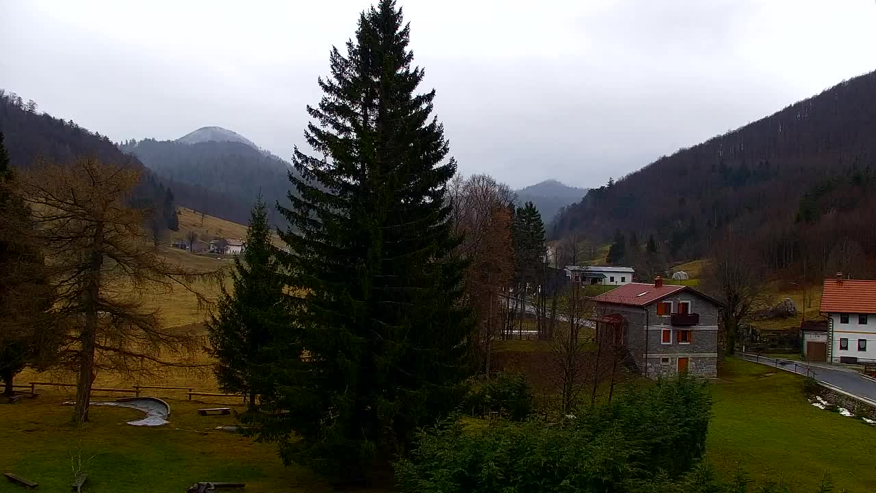 Camera en vivo Lokve – La belleza del bosque de Trnovo