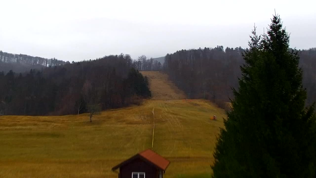 Webcam Lokve – The beauty of the Trnovo forest