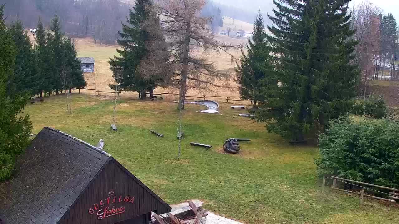 Webcam Lokve – La beauté de la forêt de Trnovo