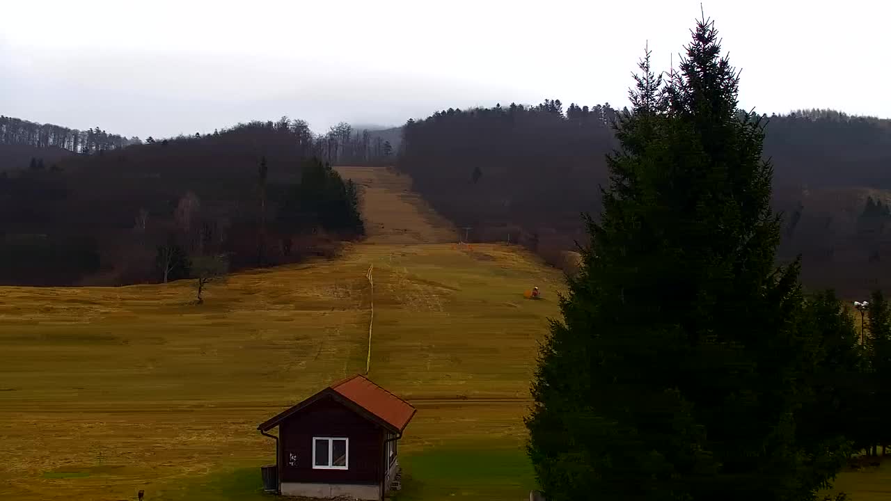 Web kamera Lokve – Ljepota Trnovske šume