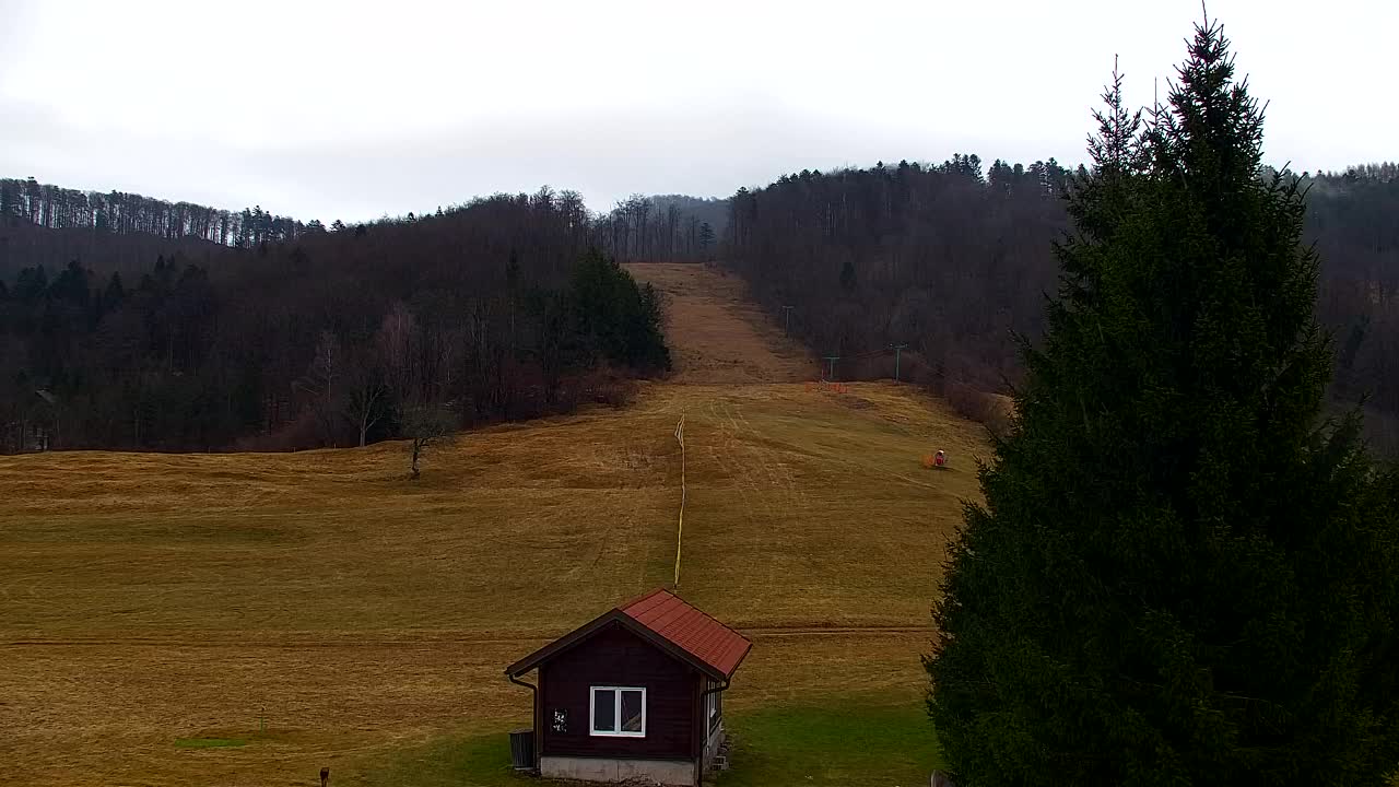 Webcam Lokve – Die Schönheit des Trnovo-Waldes