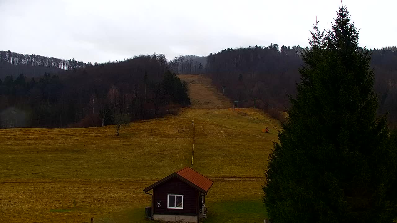 Webcam Lokve – Die Schönheit des Trnovo-Waldes