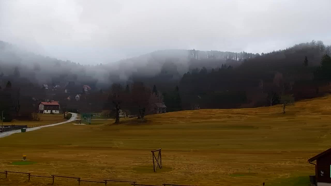 Lokve kamera – Naravne lepote Trnovskega gozda