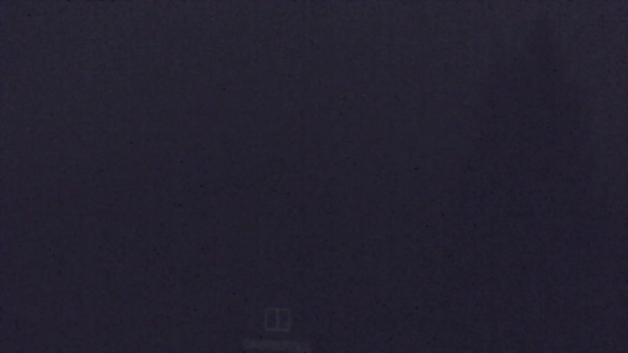 Webcam Loqua / Lokve – La bellezza della selva di Tarnova