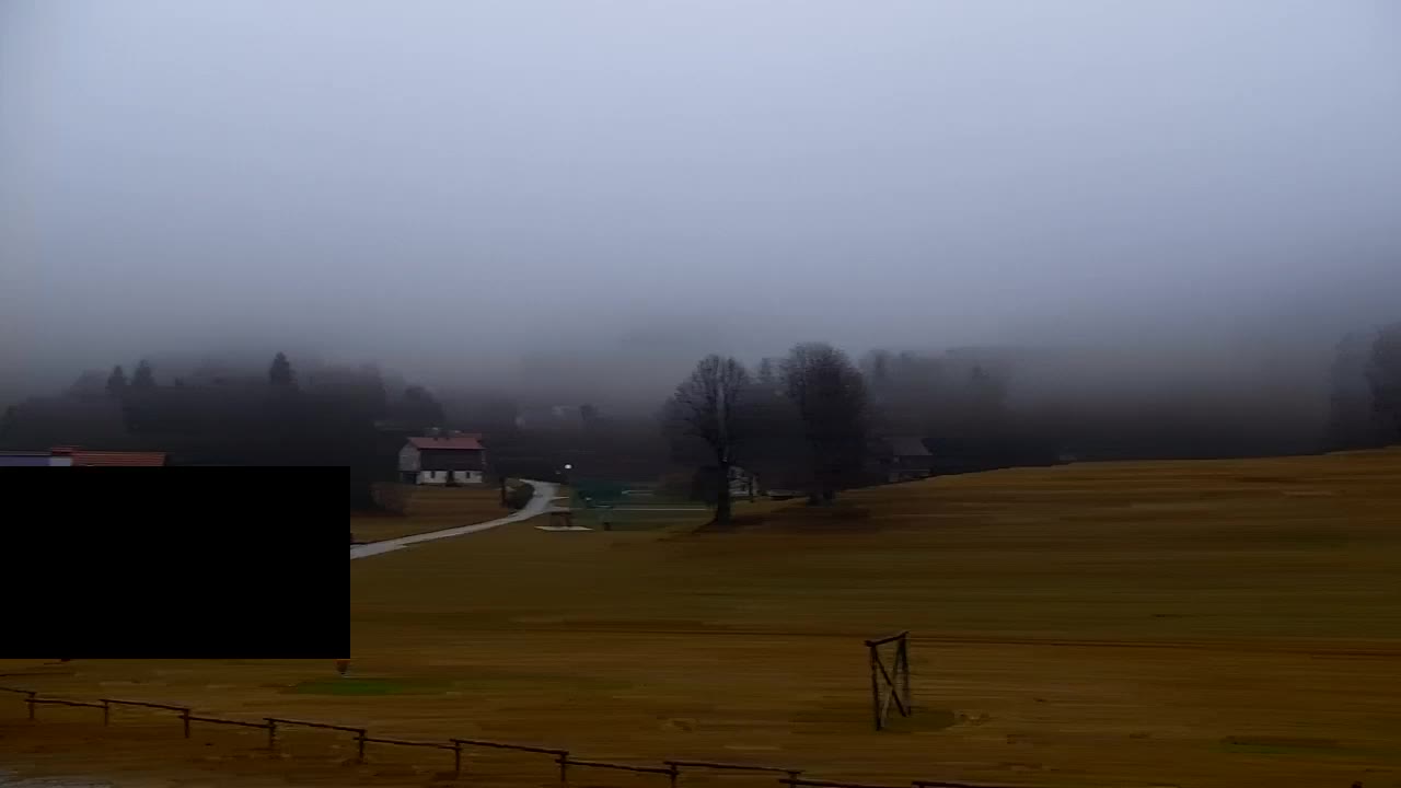 Webcam Loqua / Lokve – La bellezza della selva di Tarnova