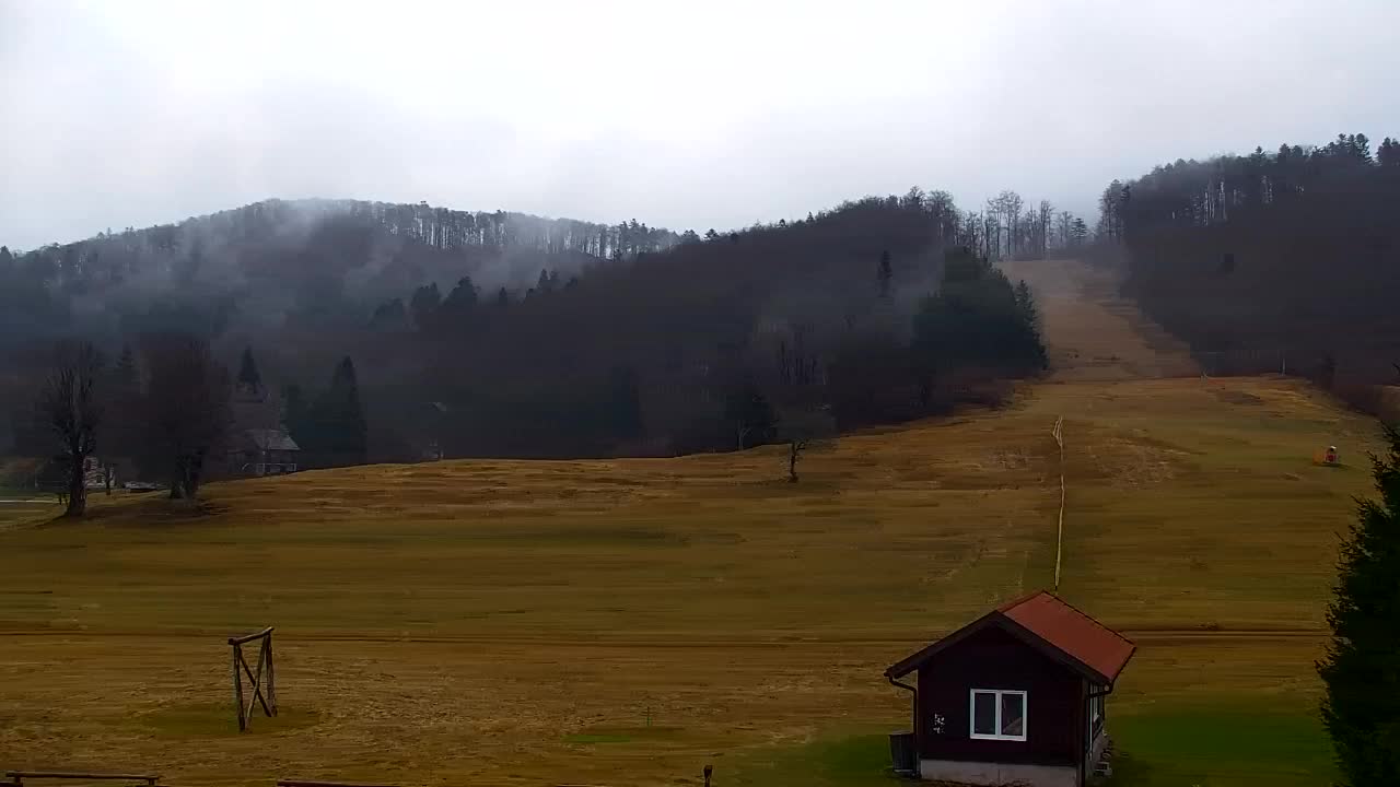 Webcam Lokve – The beauty of the Trnovo forest