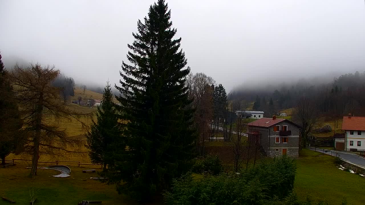 Webcam Lokve – The beauty of the Trnovo forest