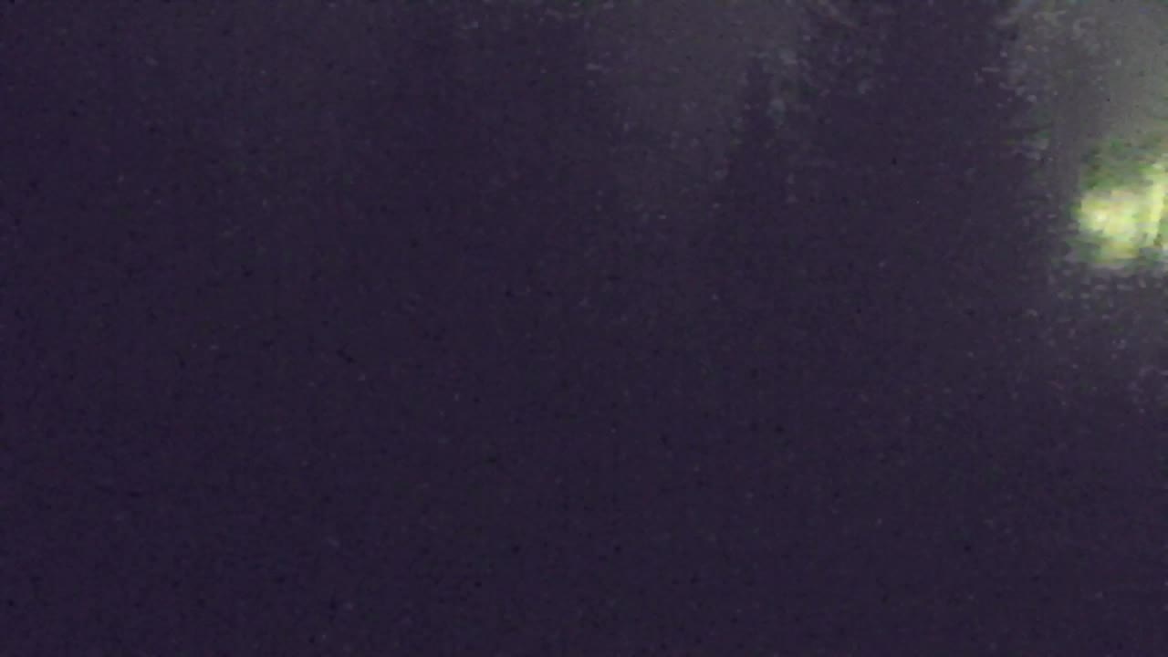 Web kamera Lokve – Ljepota Trnovske šume