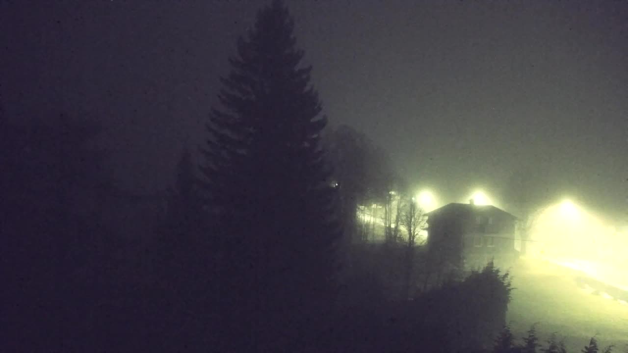 Webcam Lokve – The beauty of the Trnovo forest